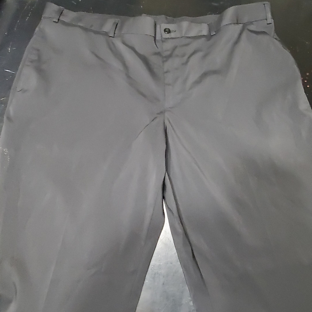 Dress pants